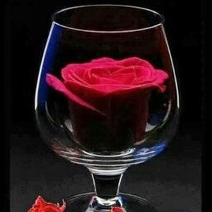 Meet your Posher, Abel